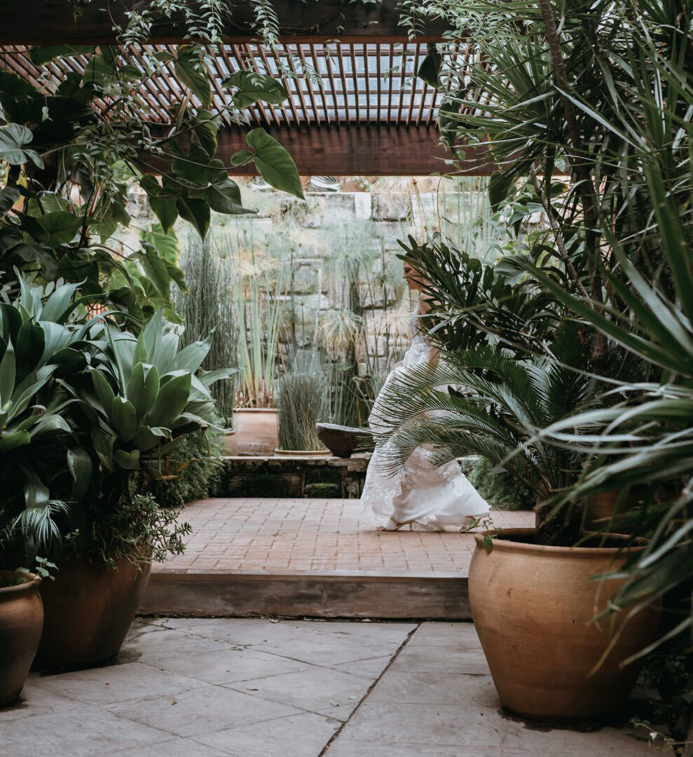 Wedding photographer review of Bride surrounded by lush plants in garden venue.
